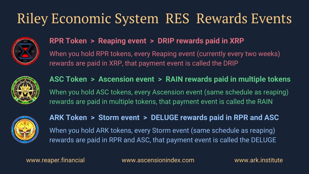 RILEY ECONOMIC SYSTEM